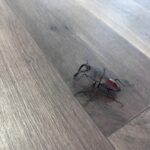 自己破産と債務整理の違いとは？